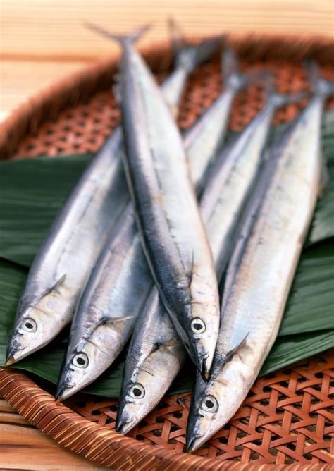 什麼魚|最常見的50種食用魚，別再說你不認識，好好看看，你。